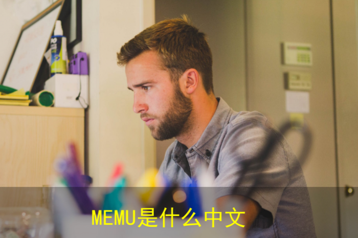 memu的意思