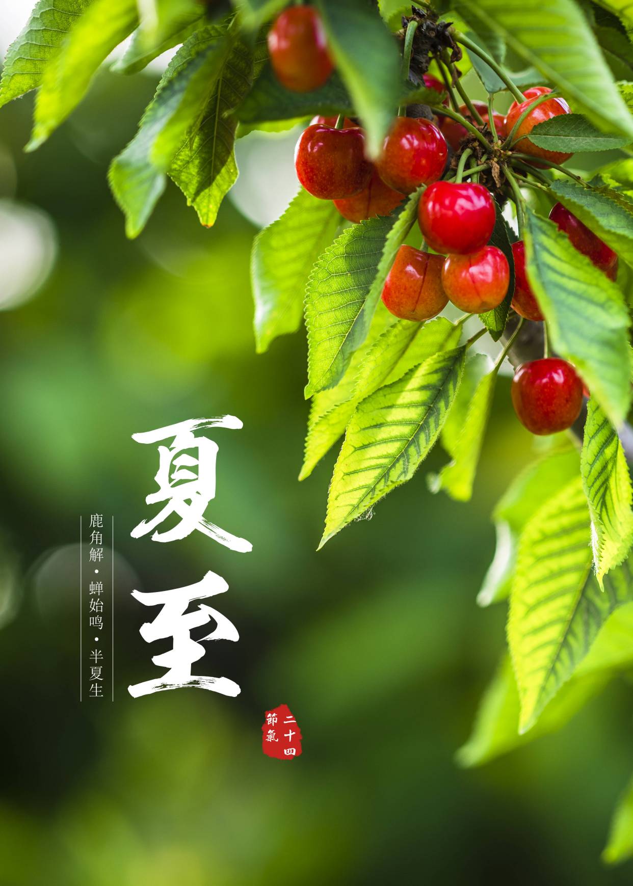 转眼之间,又到了一年一度的夏至节气,明日夏至,对于饮食大众来说,按照
