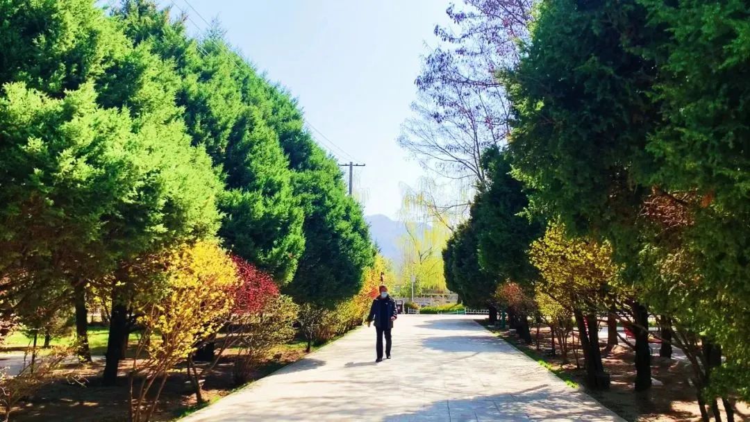 在臨夏東郊公園,我與春天撞了個滿懷!