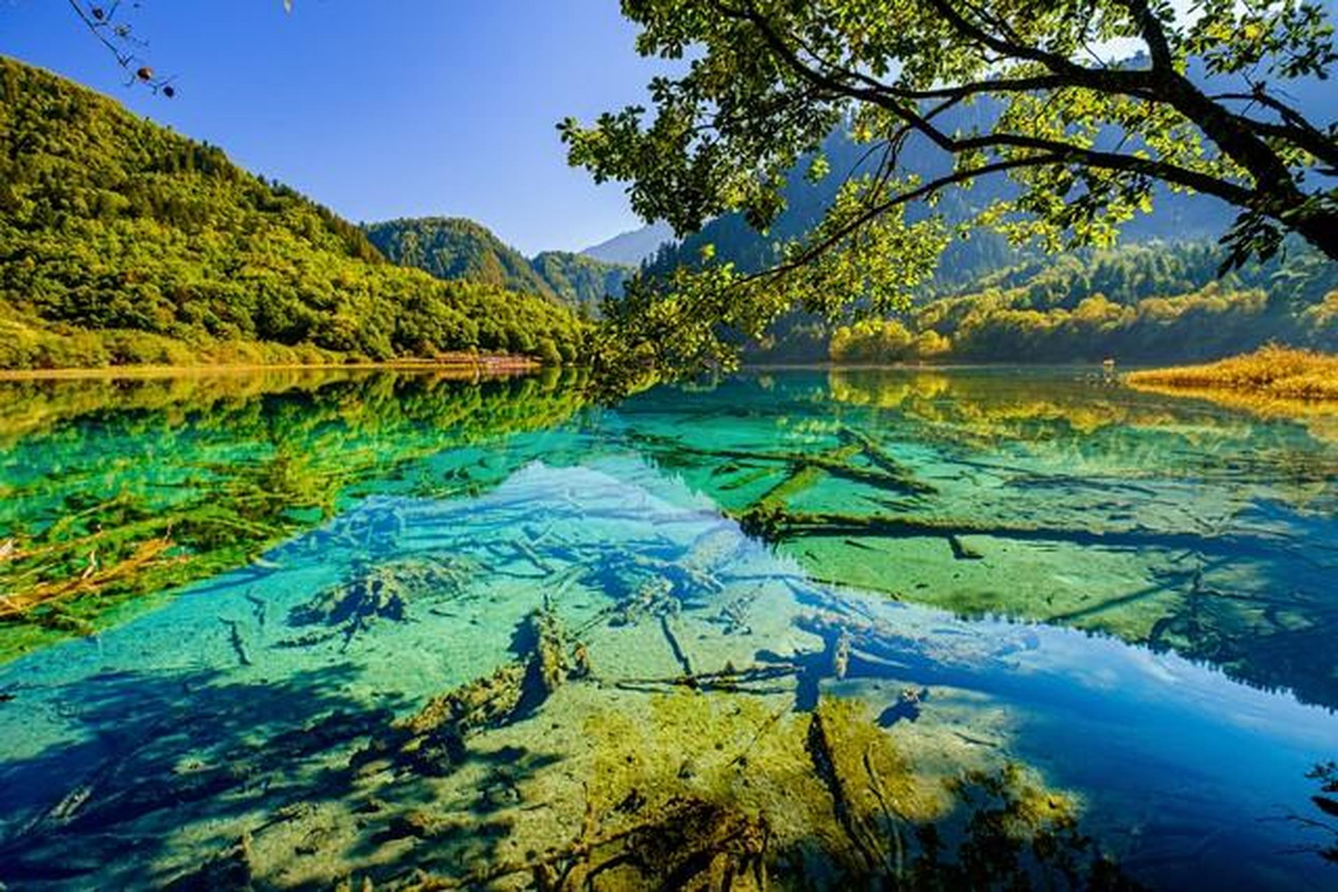 最近一段时间,云南经常曝光一些不道德的导游,不曾想,四川九寨沟也有