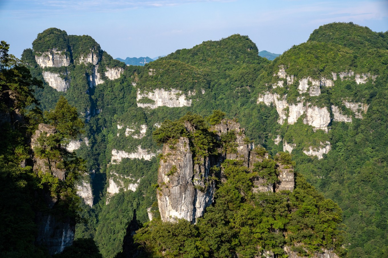 人少景美,川渝贵最火的避暑胜地-贵州毕节油杉河景区
