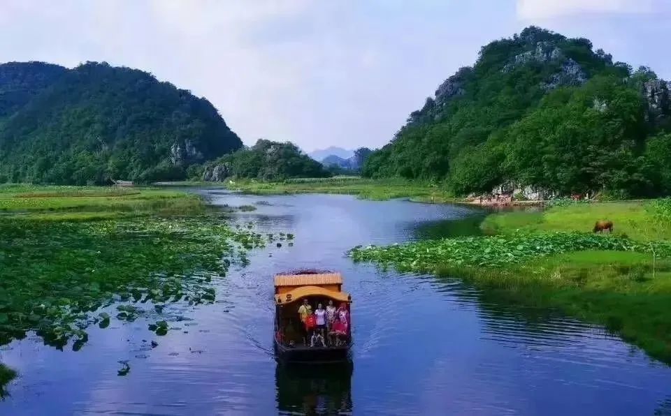 普者黑景区关于实名制购票和优化游览线路的公告