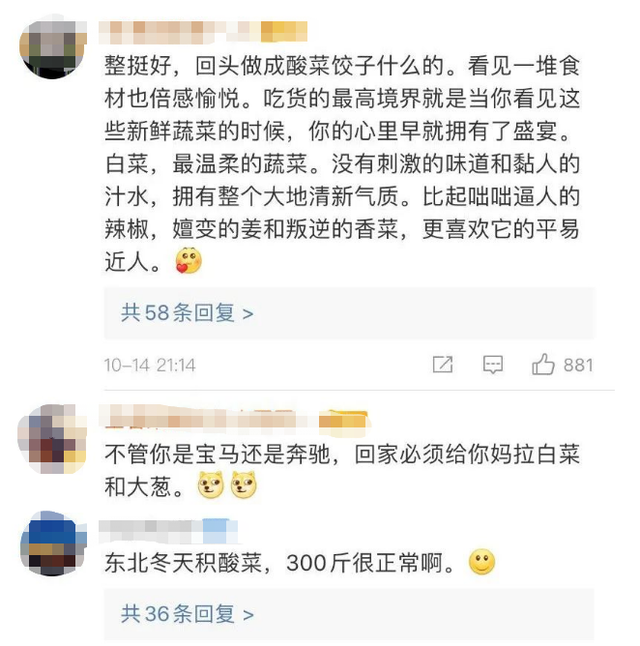 推荐|“东北大娘雇车囤300斤白菜”上热搜，网友：又一年的南北差异来了