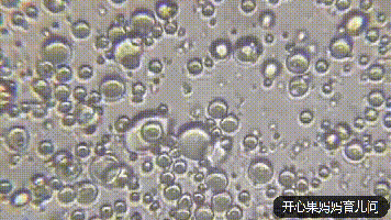 冻母乳的营养到底有没有流失?显微镜2000倍放大的结果,令人意外