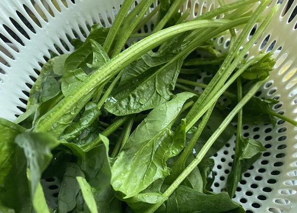 铁被称为"造血元素",建议女人多吃4种富铁菜,不怕贫血找上门