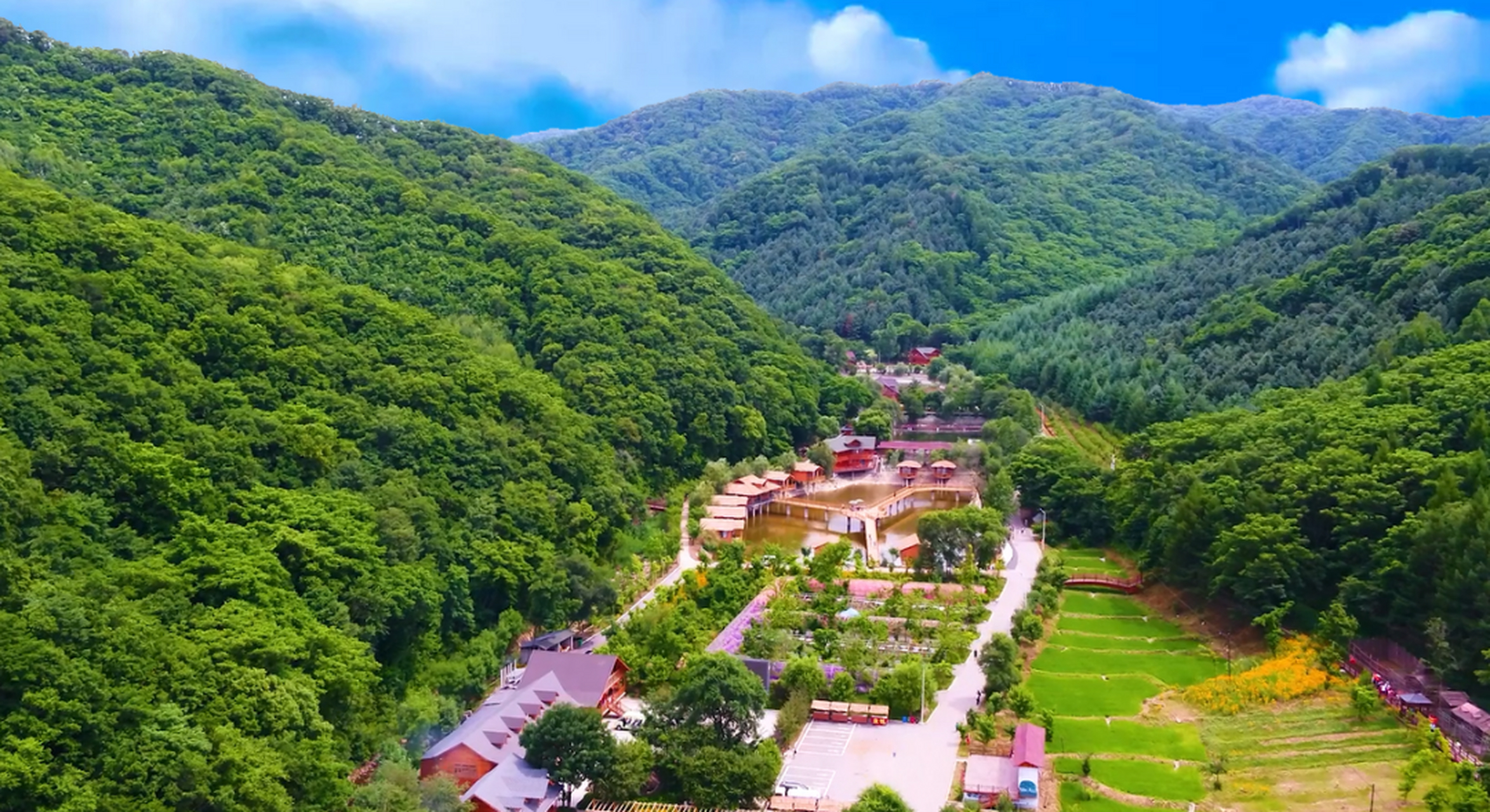 山海有情 天辽地宁 | 新宾满族自治县:给绿水青山"充值" 让金山银山"