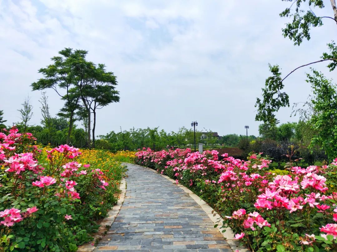 大连董家沟植物园地址图片