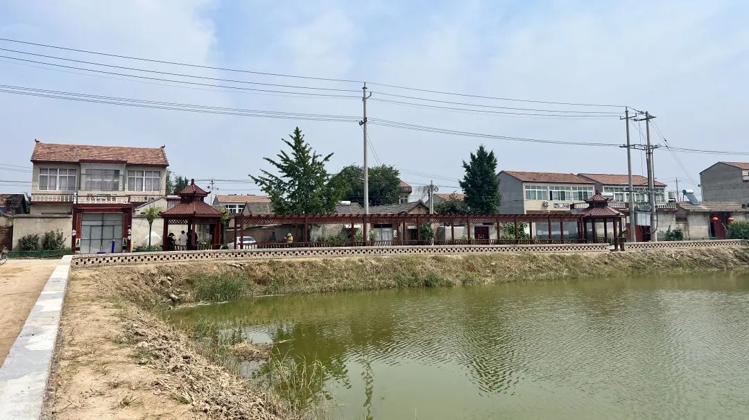 丰县范楼镇:房前屋后花果香,人居环境展新颜