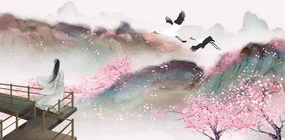 杨花落尽,子规不语