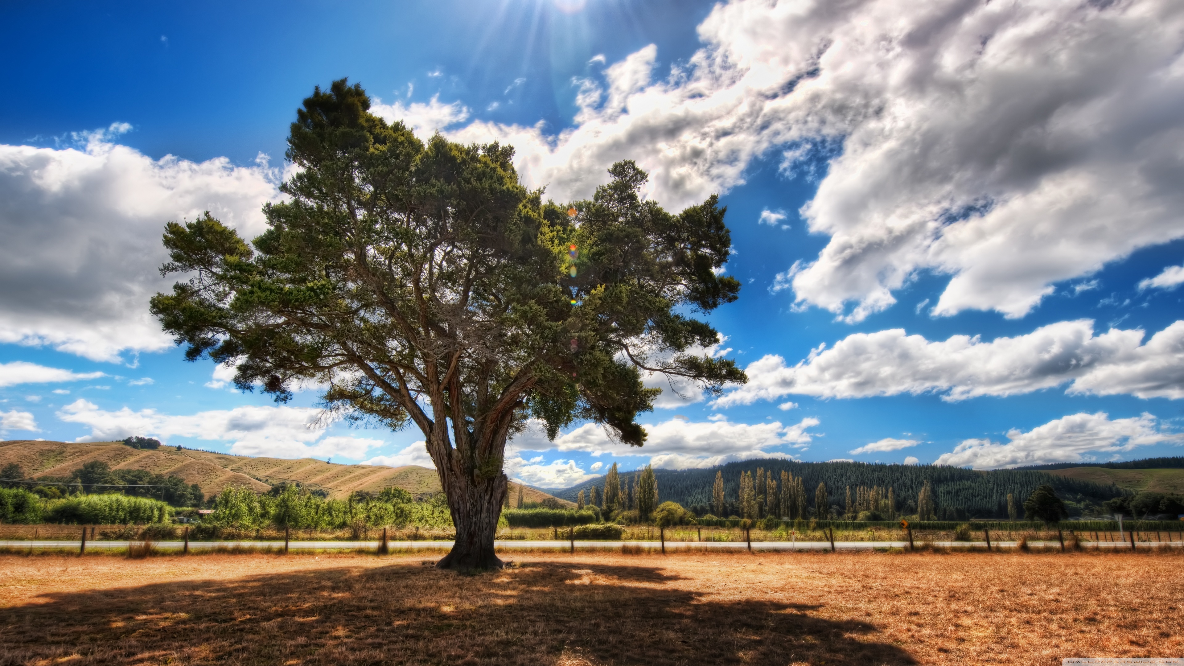 甲木喜忌 baijiahao.baidu.com