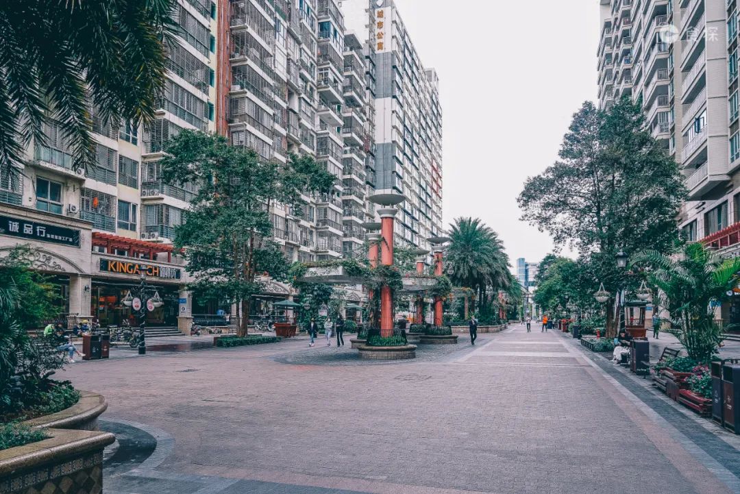 跑车停在车位上,办事回来却看到了罚单,网友:不是深圳本地人