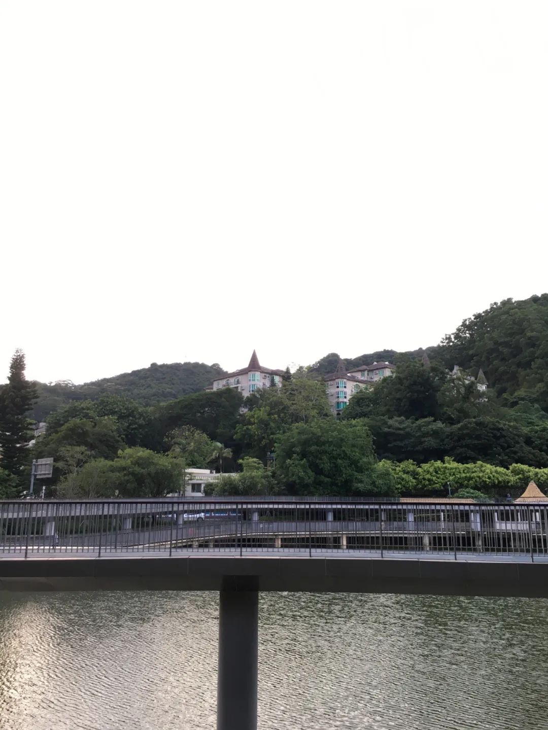 《旭光騎行深圳》第33站——羅湖區清水河街道