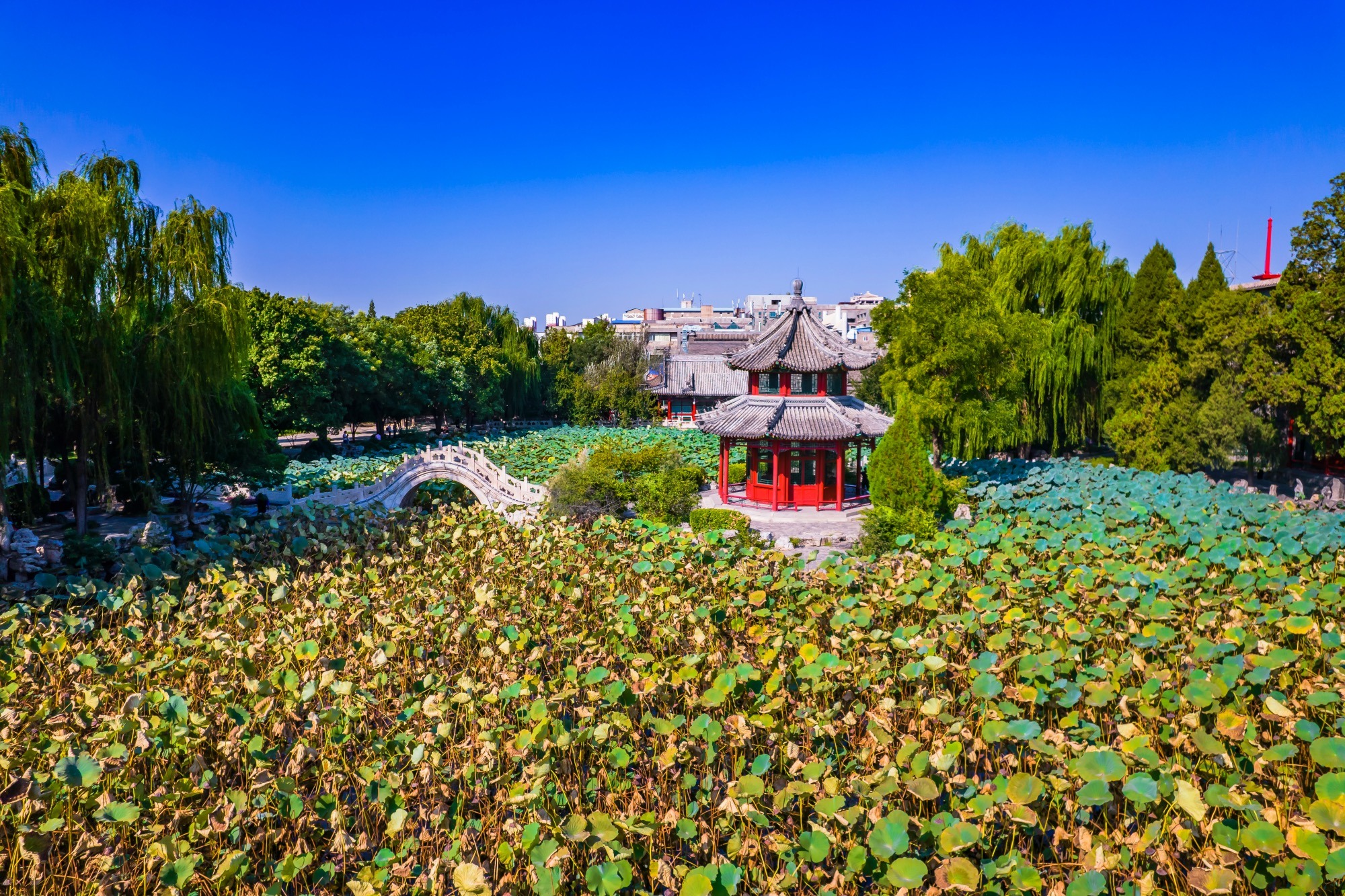 保定古莲花池,中国十大名园之一,充满人文底蕴和江南风情