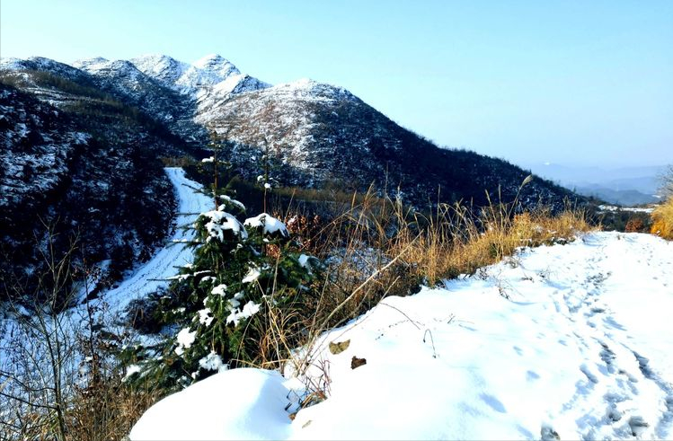 涪陵插旗山风景区图片