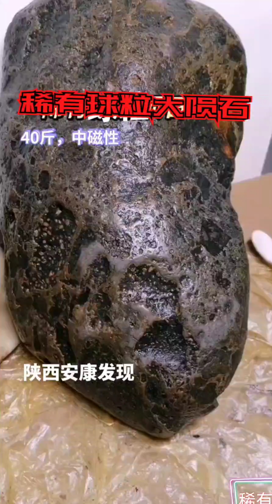 稀有球粒大陨石!