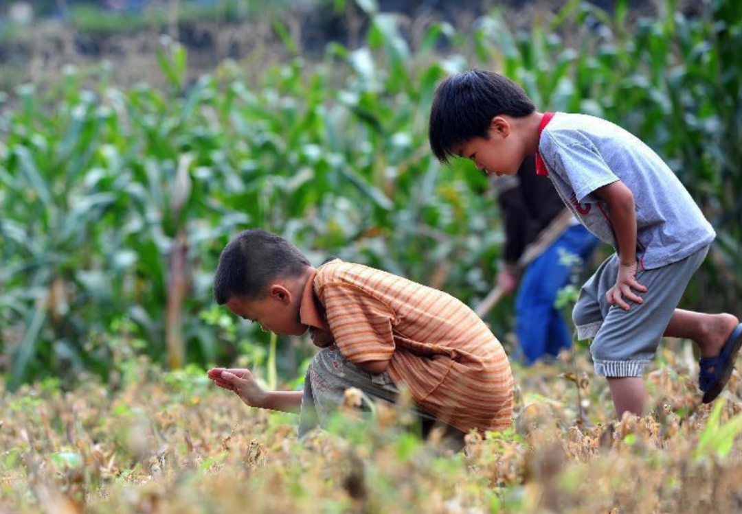 乡村纪事:张锁柱的中筒黑胶鞋