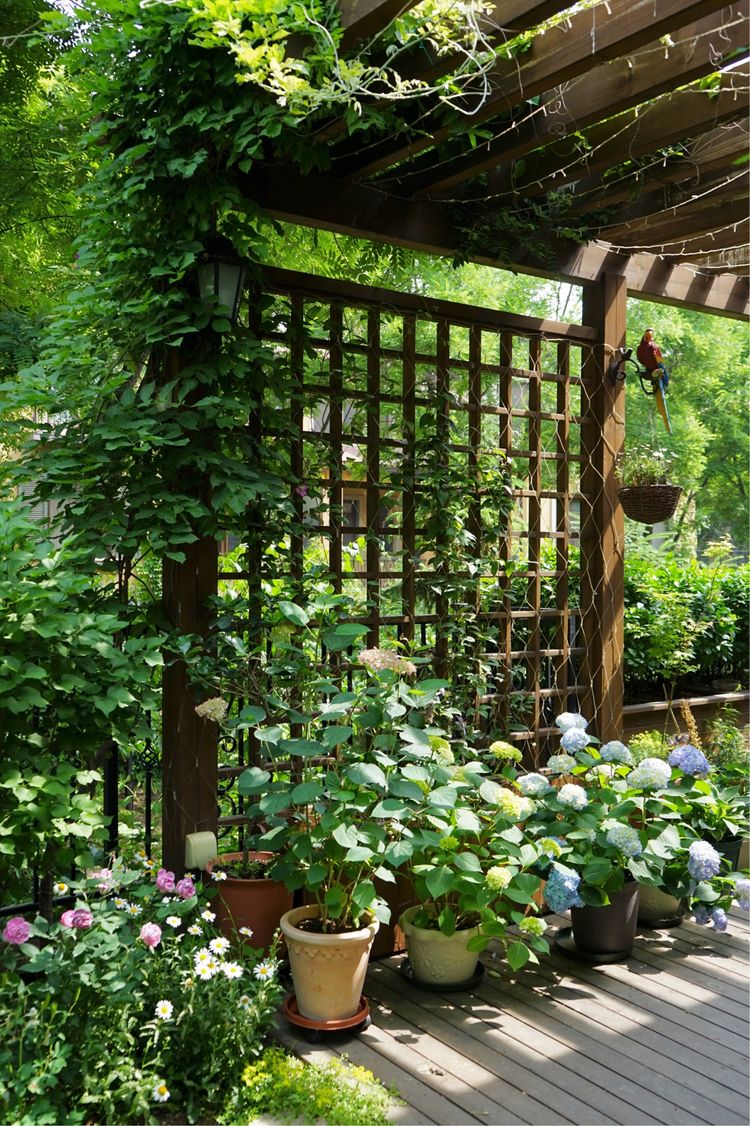 有钱人家,买个别墅,专门养花,满屋落地窗,赏花太惬意!