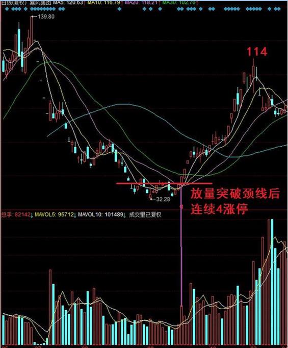 双肩底形态图片