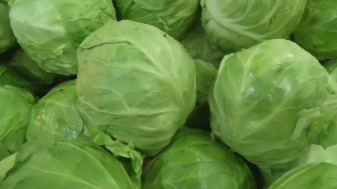 退休大叔因"用塑料桶种菜"而走红,附近大妈们眼红了,争相模仿