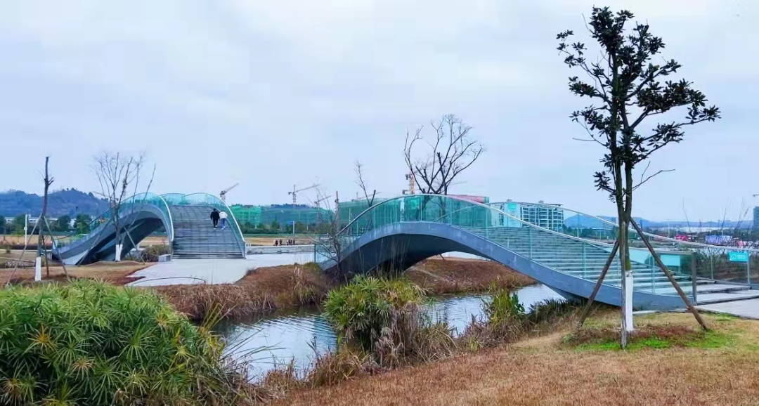 绵阳小枧城市运动公园图片