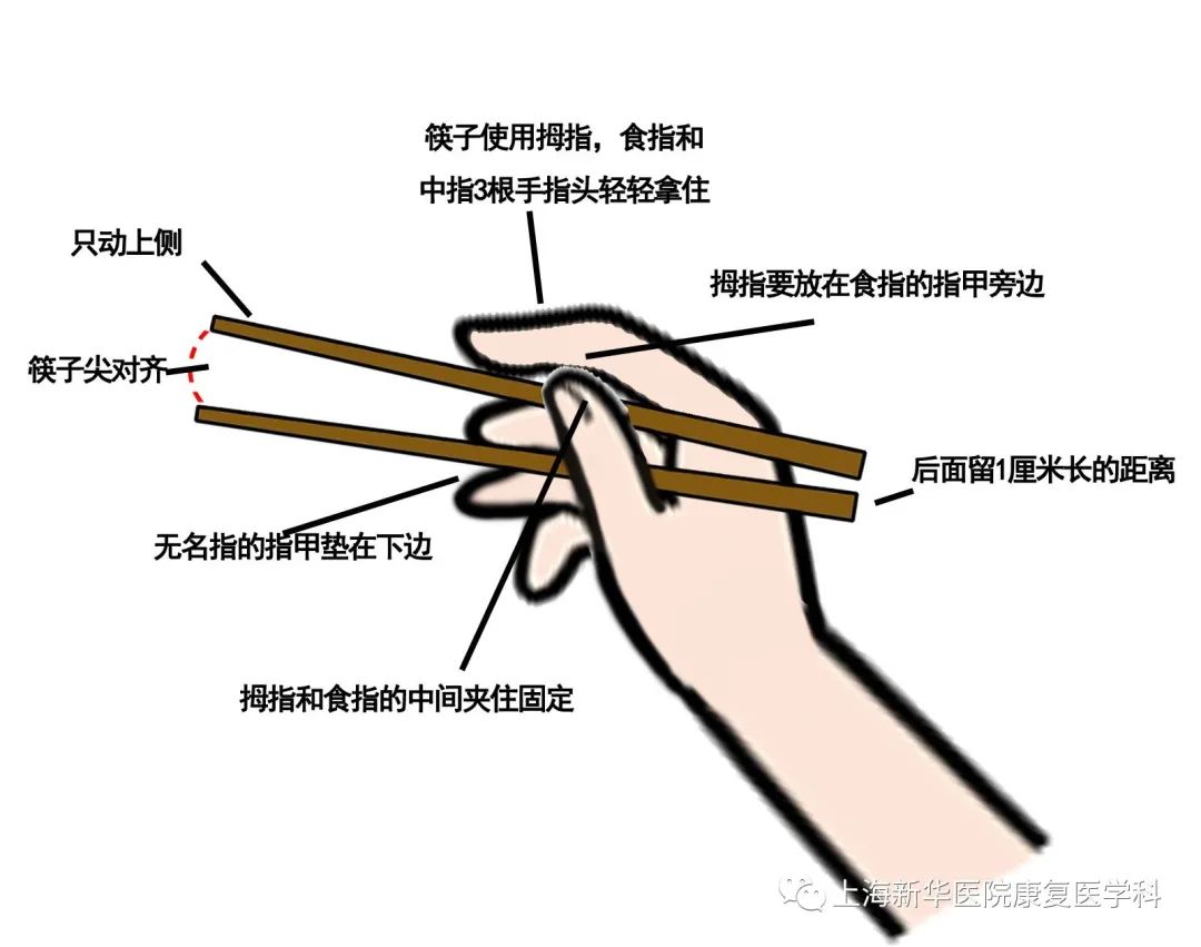 "筷"问"筷"答,筷子的使用技巧