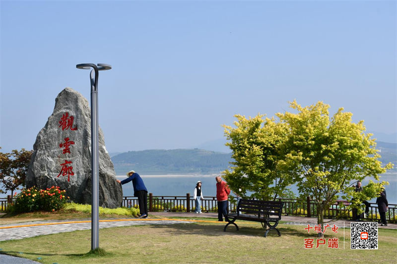 太美啦!郧阳同心广场外千米长的网红"花墙"又开啦