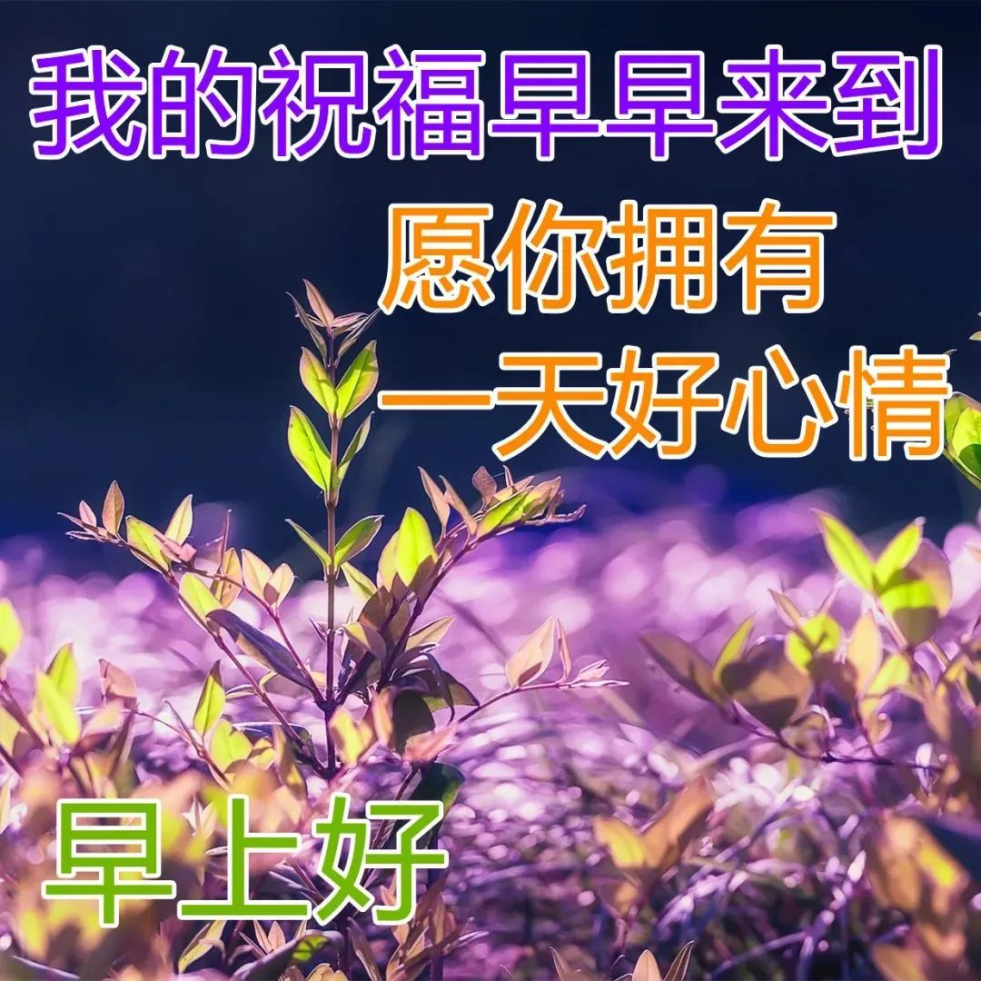 每天早晨祝福语:早安,愿你从心里感受到爱,让生命充满温暖