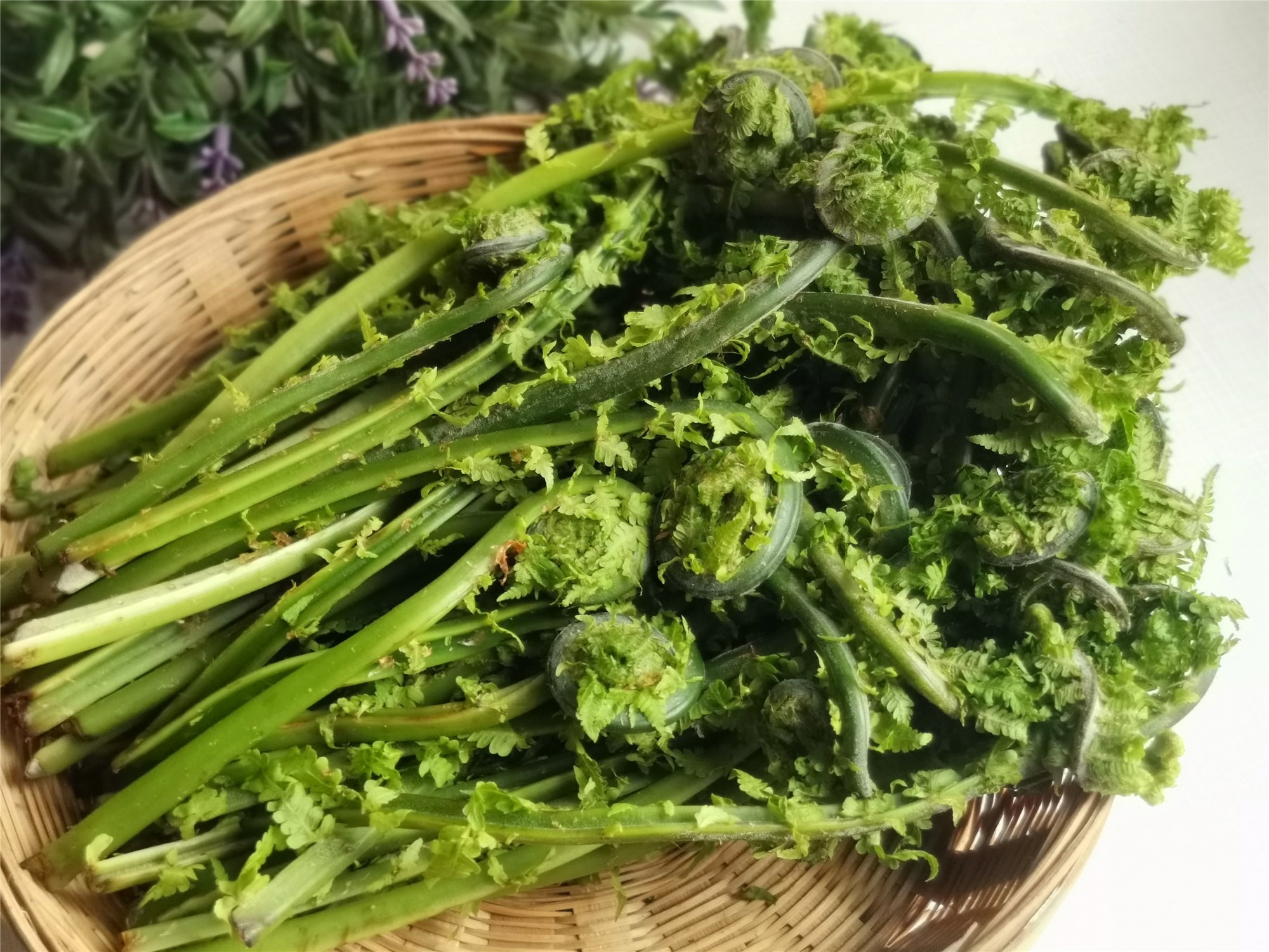 东北特产山野菜,名字却叫:广东菜,清香脆嫩,用来包饺子贼香