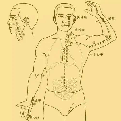 提升免疫力,守護全家健康