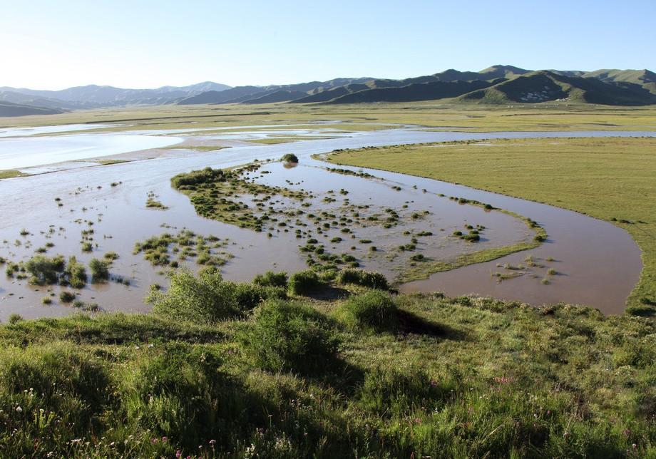 鸡没有牙齿,如果吃了水蛭会怎么样?水蛭能在鸡体内存活下来吗