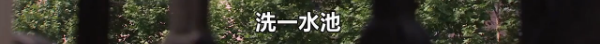 热点|女子再婚后竟让8岁女儿给全家洗碗拖地!网友炸了:这是亲妈?