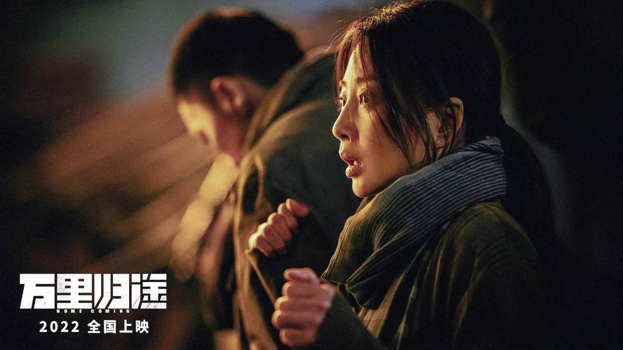 《万里归途》剧情详细介绍
