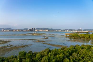 惠州盐洲岛自驾游攻略图片