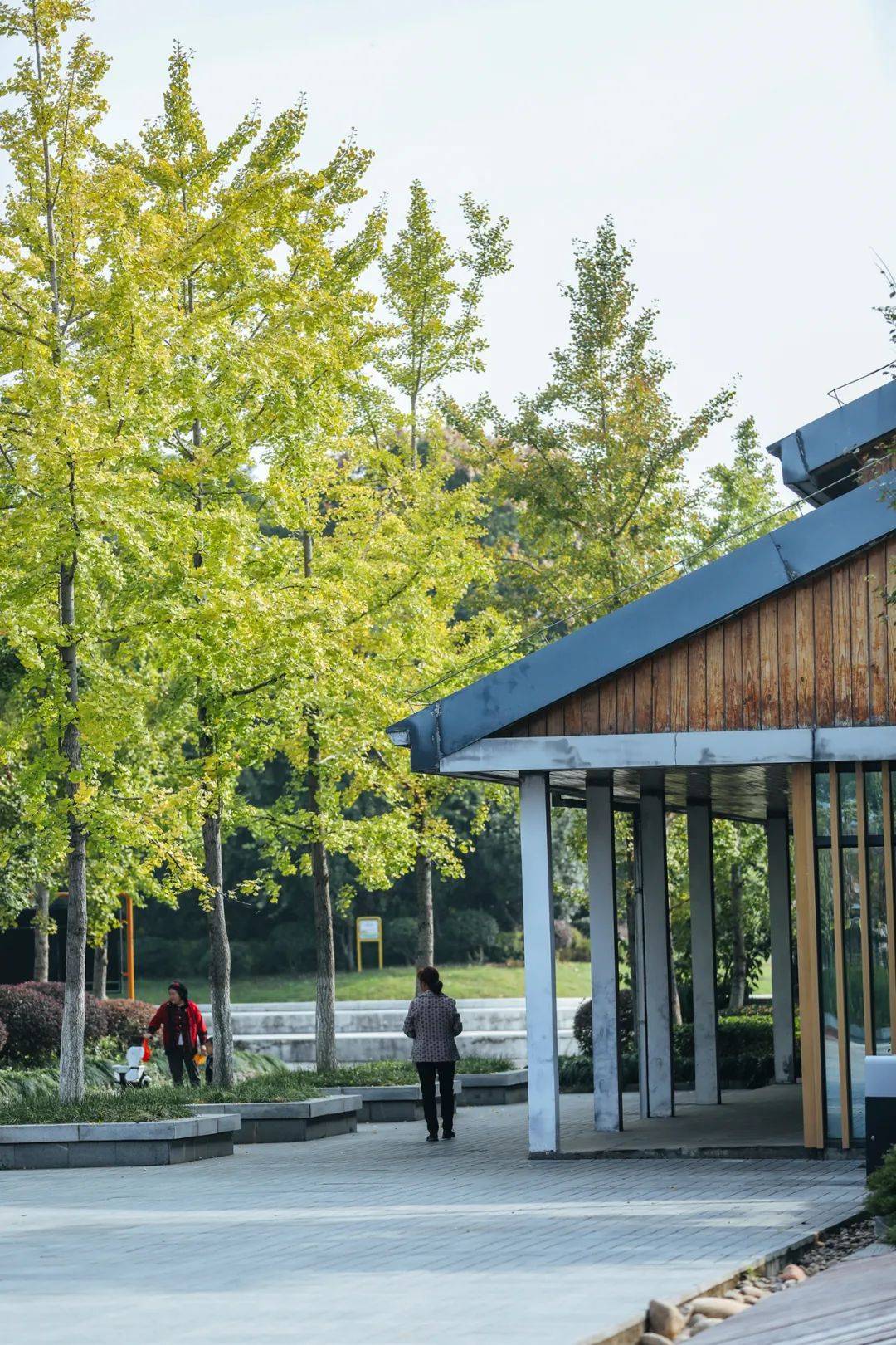 宜昌城东公园里,藏着属于极限运动大神的宝藏