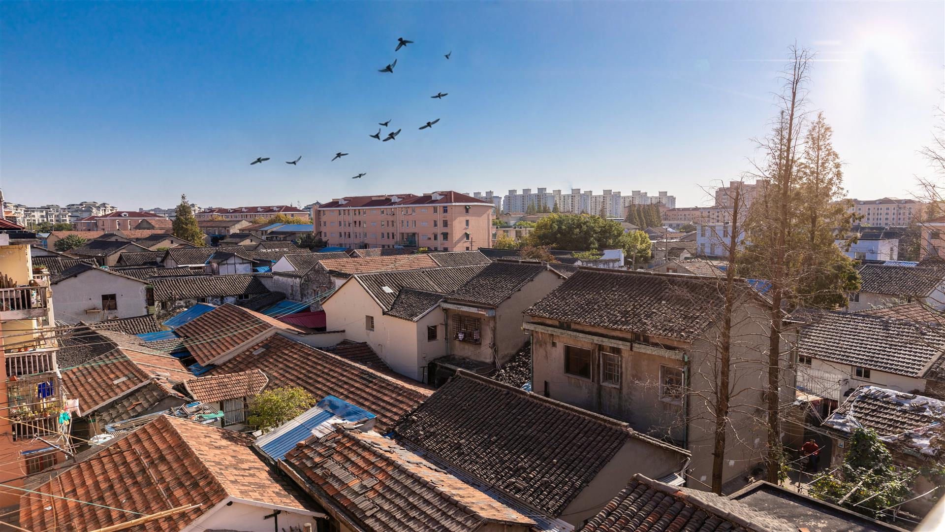 盼了20年,颛桥老街旧区改造城市更新项目启动