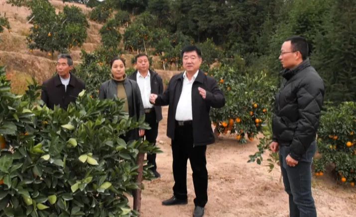 严水石深入天心镇调研产业发展和项目建设