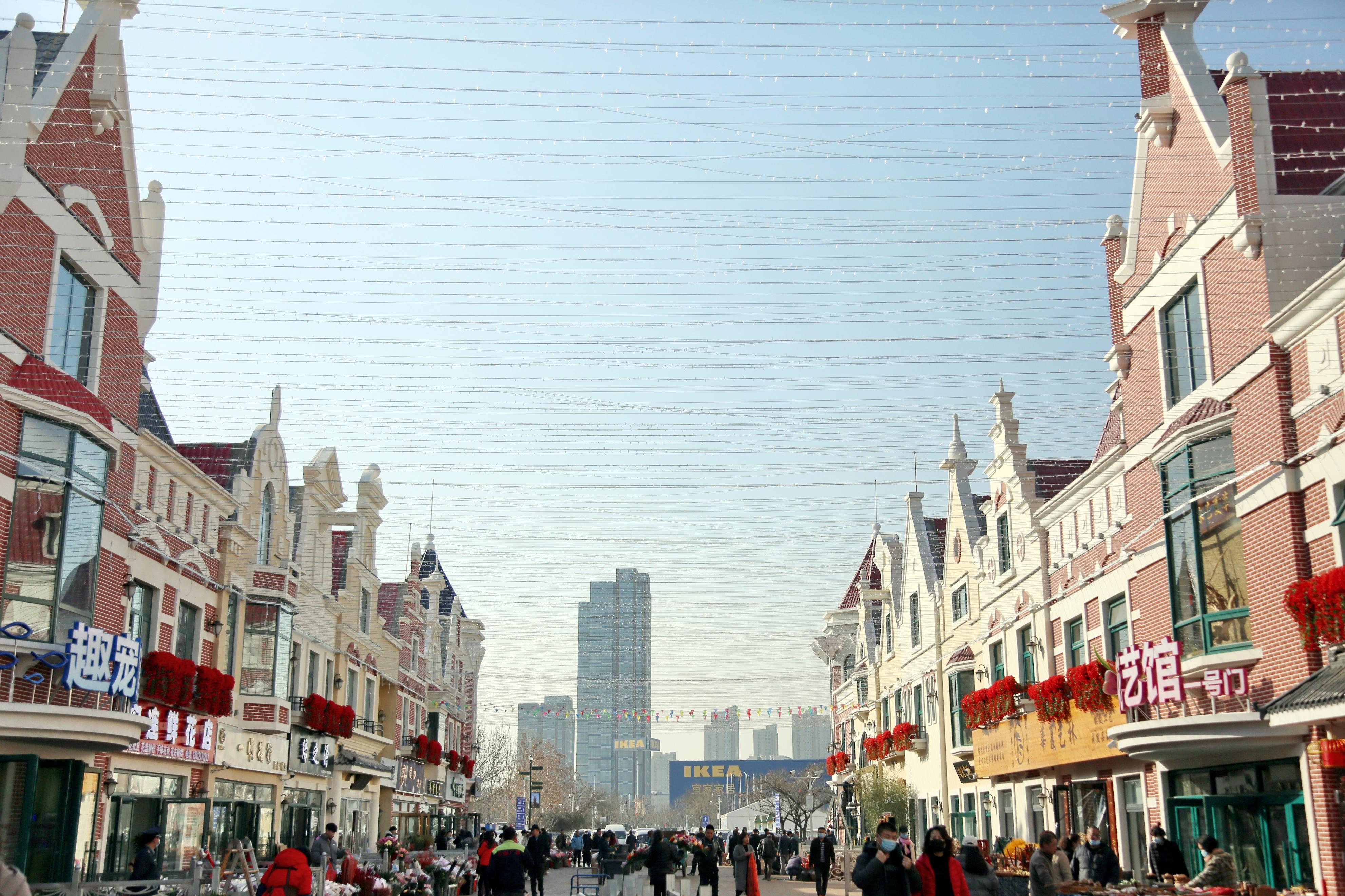 北方最大的曹庄花卉市场盛装启航,打造世界花卉大观园