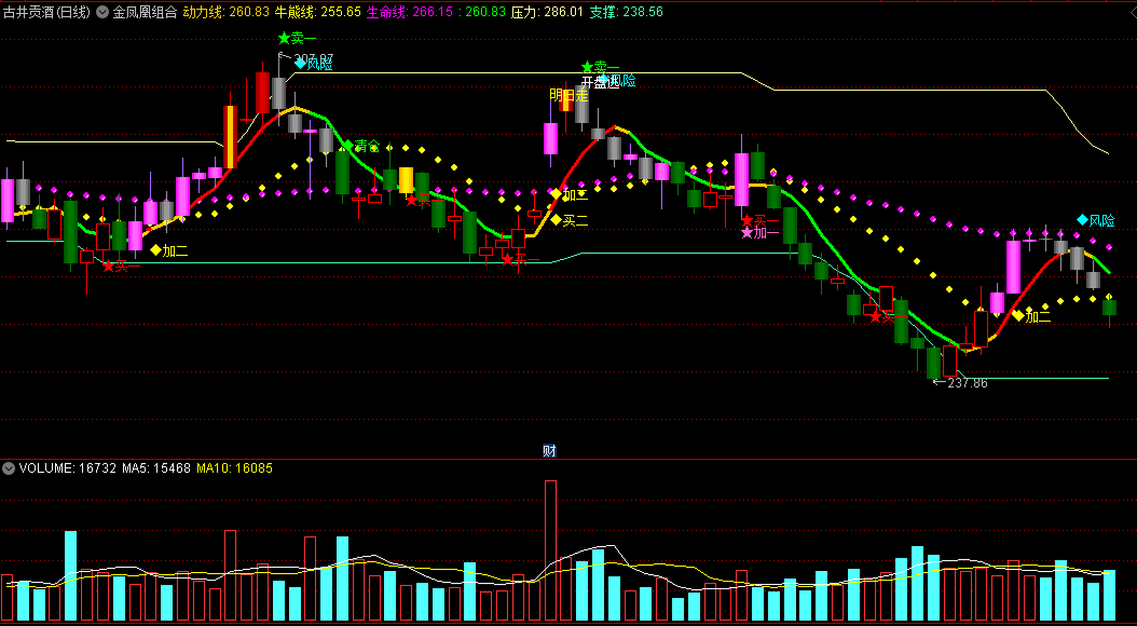 金凤凰组合〗副图指标 下影买 回马抢 强势狙击 组合了多种信号