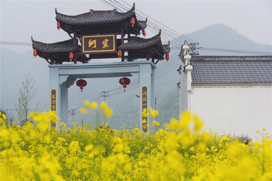 用"奖项"的方式见证临安湍口镇的发展!美不胜收,未来可期