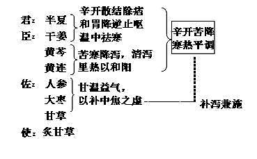 浅析《伤寒论》中"痞证"的相关类型