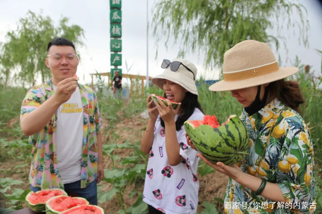 百度爱采购首页 商品专题_西瓜距离瓜地不远的西甜瓜交易市场内,聚集