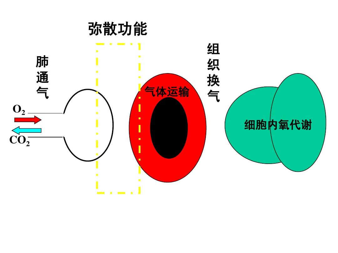 弥散复制图解图片