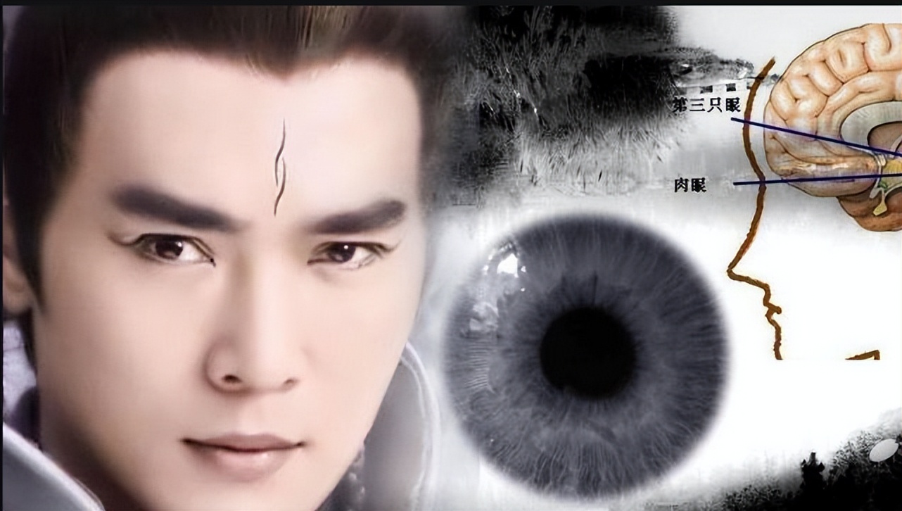 18岁少年预想成"社会人",额头"纹天眼"!惨遭纹身店老板拒绝