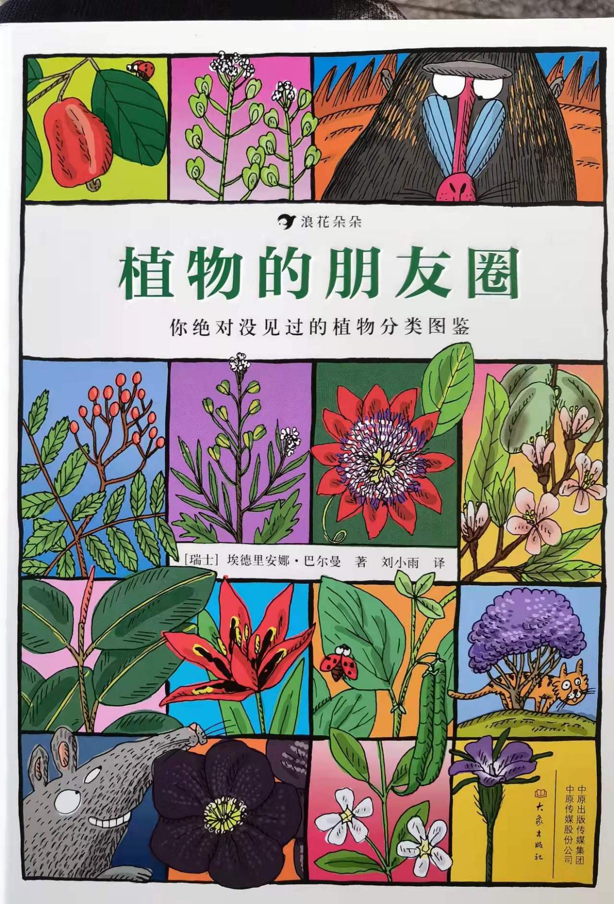 植物绘本作品图片大全图片