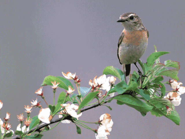 640_480gif 动态图 动图