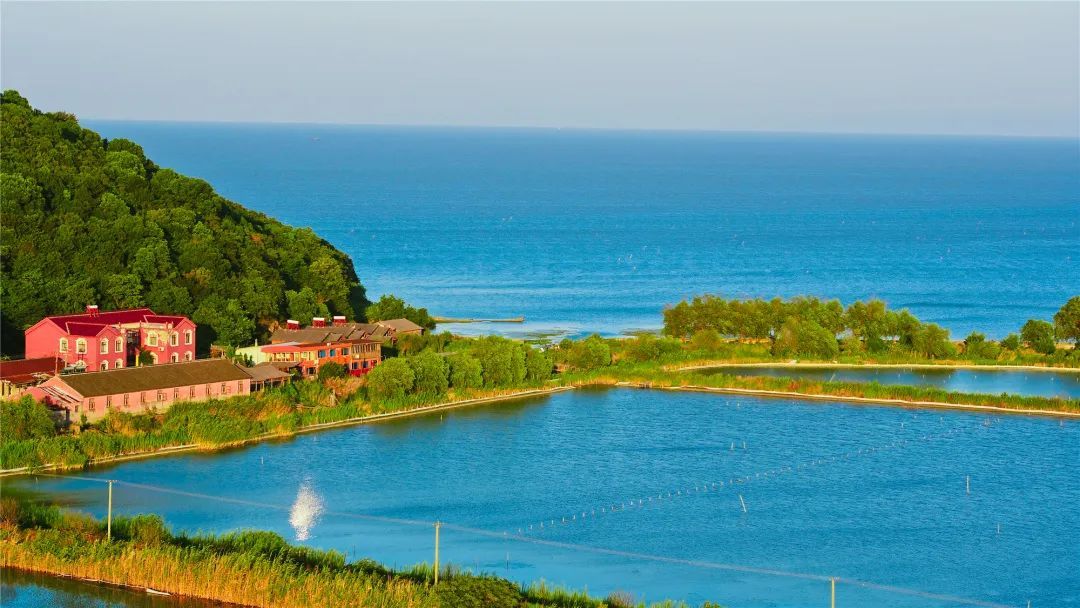 周末带着你的疲惫上岛吧~ part.01