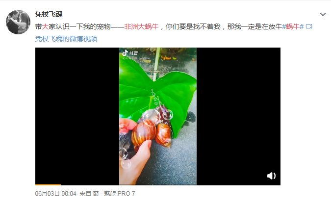 推荐紧急提醒！这种蜗牛千万别碰，会传播结核病、脑膜炎、脑炎等