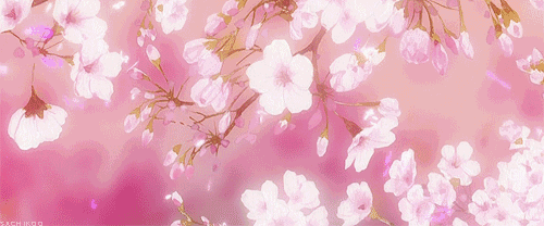 500_208gif 动态图 动图