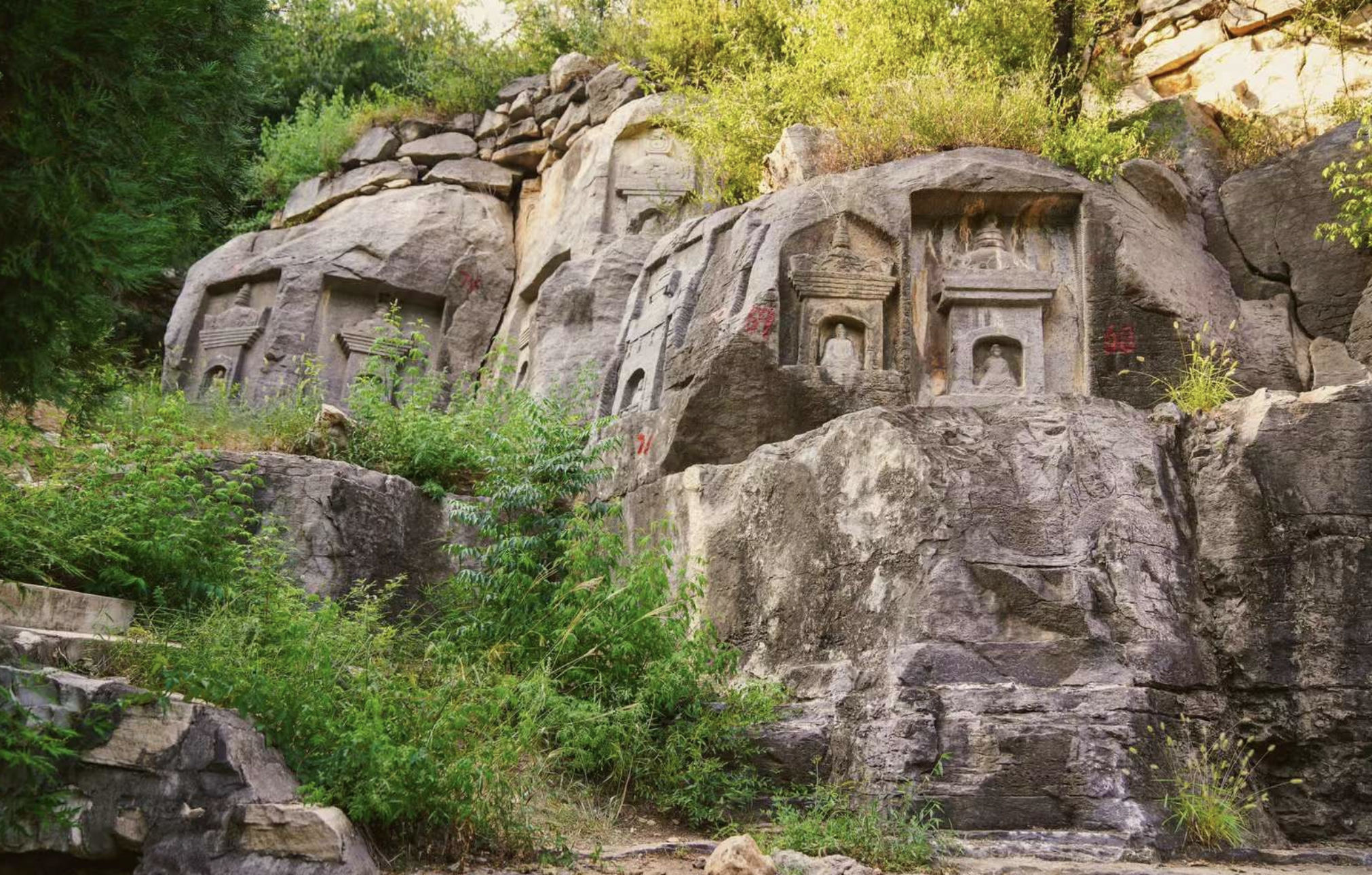 安阳灵泉寺的简介图片