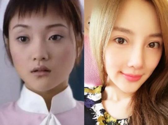 李小璐鼻子透光被质疑,不承认整容机智回怼,网友:死鸭子嘴硬
